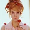 flowerhoneybee